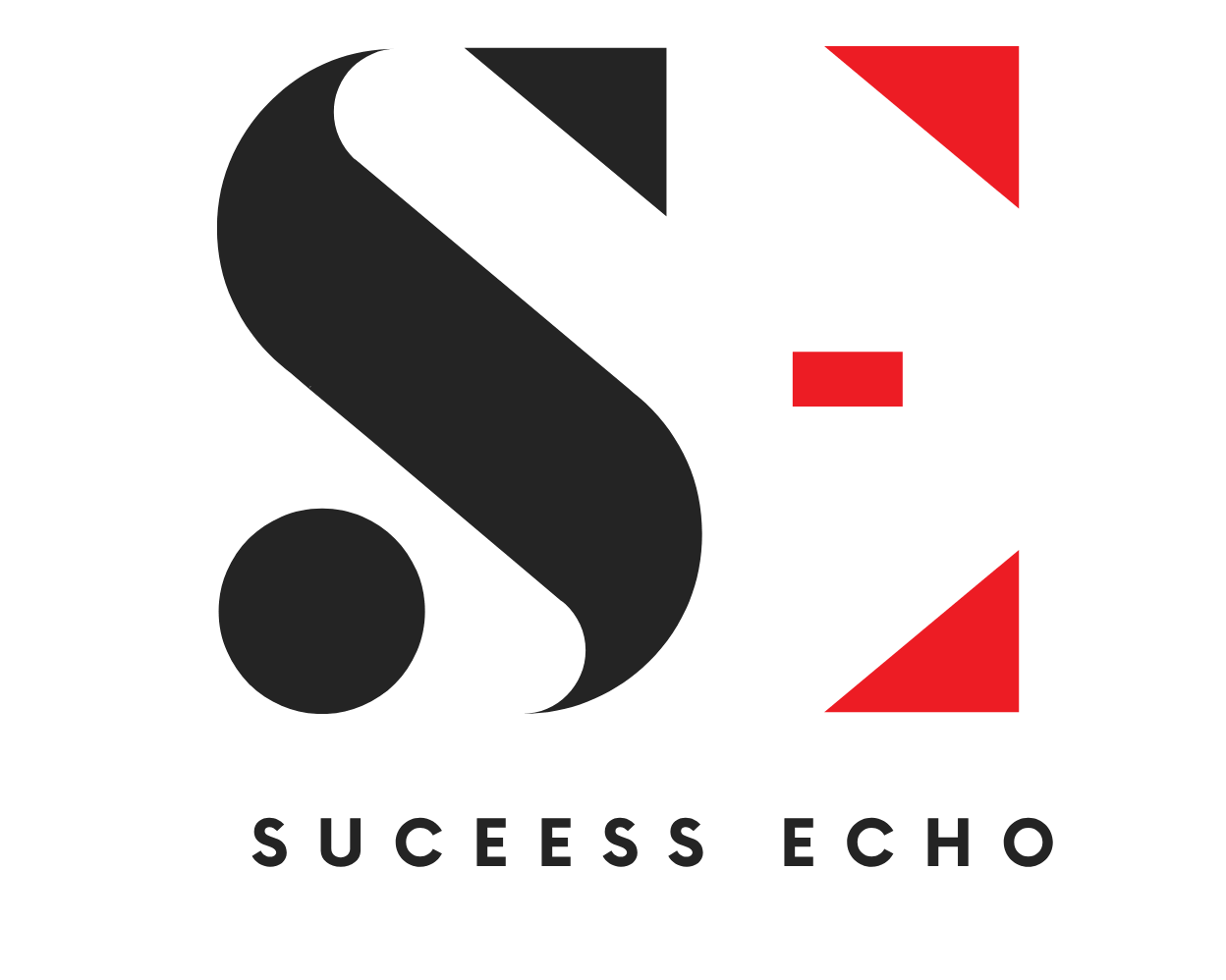 Success Echo