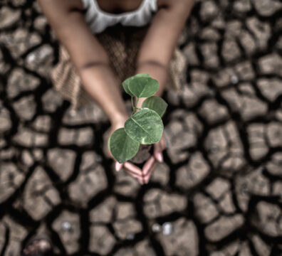 Climate Change Adaptation: How Countries Are Preparing for Extreme Weather in 2026 Women Are Sitting Holding Seedlings Are Dry Land Warming World 396x360